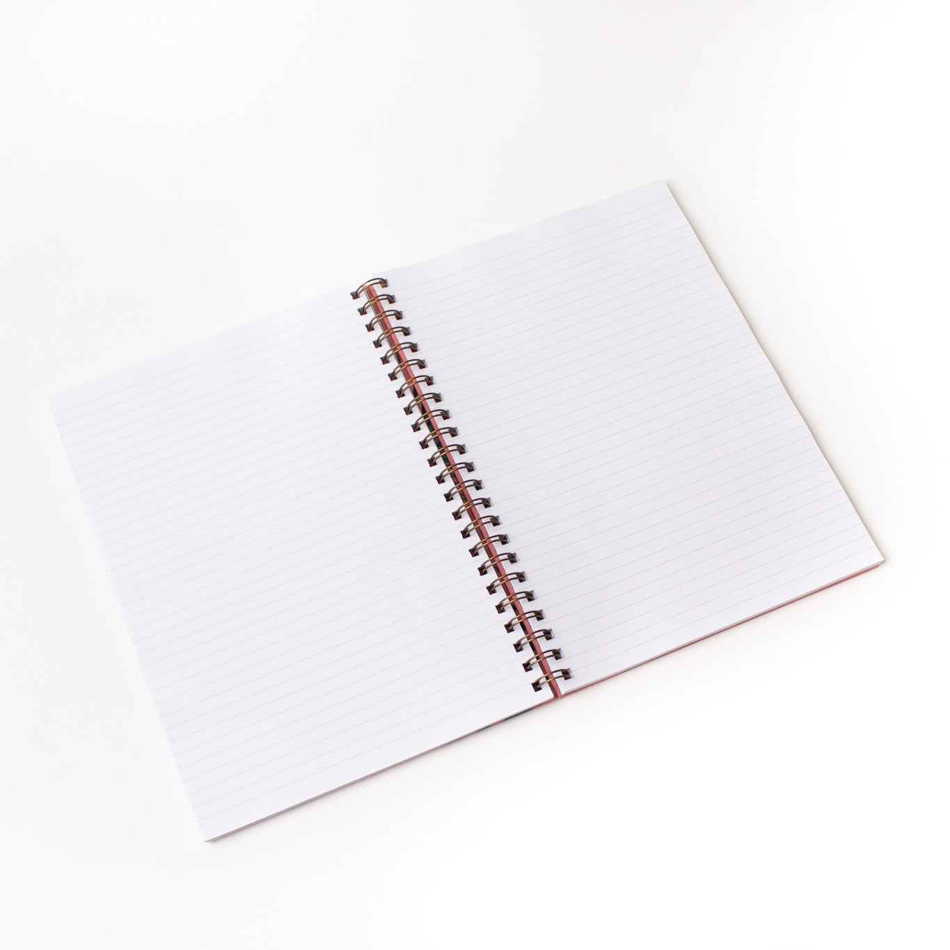 The Modest Girl A4 Hardback Notebook