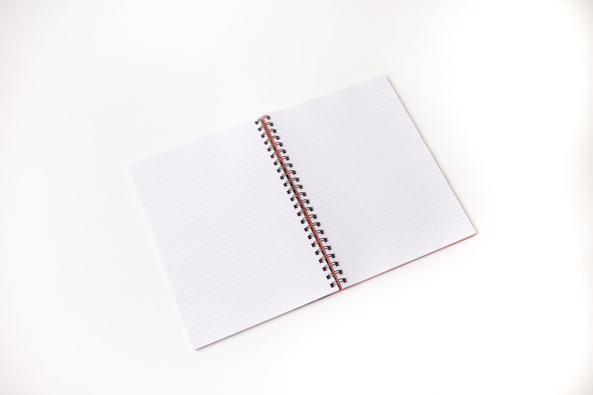 The Modest Girl A4 Hardback Notebook