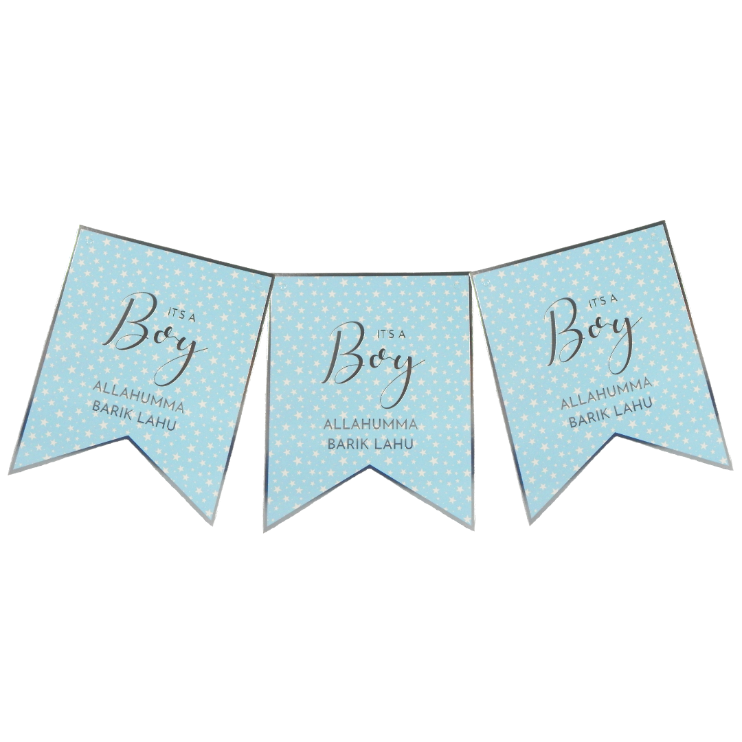 Baby Boy Banner